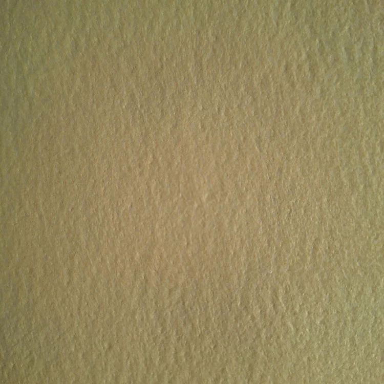 PPS βελόνα αισθητή με μεμβράνη PTFE